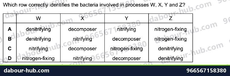 IGCSE Biology 19.4 The nitrogen cycle - Question 12