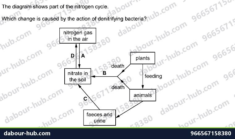 IGCSE Biology 19.4 The nitrogen cycle - Question 13