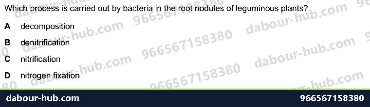 IGCSE Biology 19.4 The nitrogen cycle - Question 2