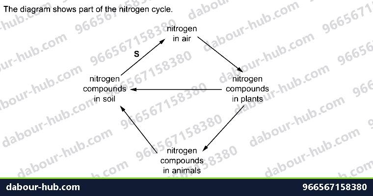 IGCSE Biology 19.4 The nitrogen cycle - Question 5