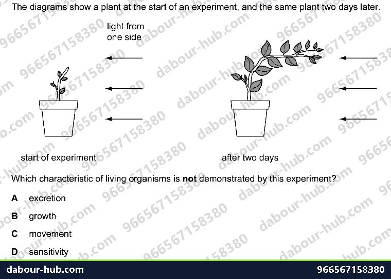 IGCSE Biology 1.1 Characterisation - Question 12