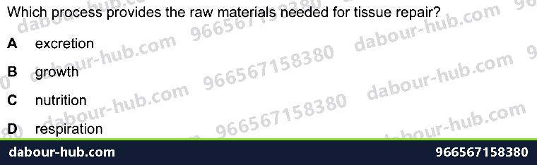 IGCSE Biology 1.1 Characterisation - Question 13