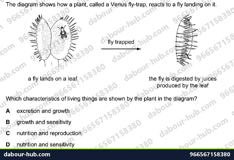 IGCSE Biology 1.1 Characterisation - Question 14