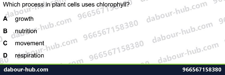 IGCSE Biology 1.1 Characterisation - Question 8