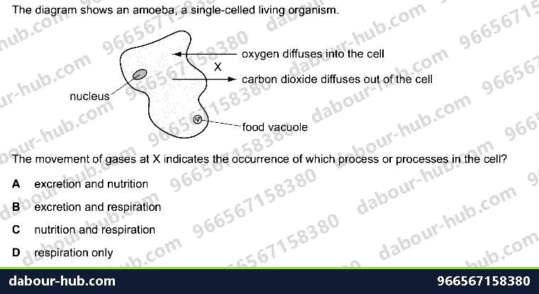 IGCSE Biology 1.1 Characterisation - Question 9