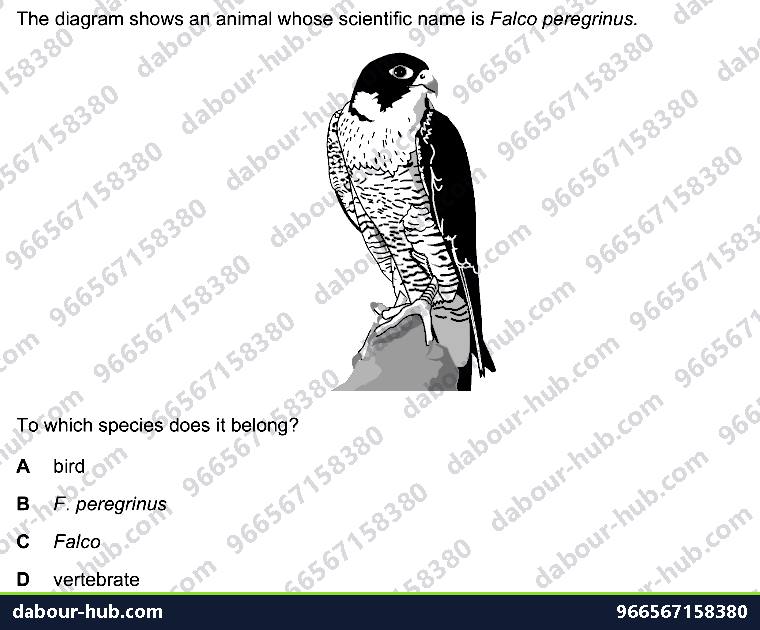 IGCSE Biology 1.2 Binomial Name - Question 5