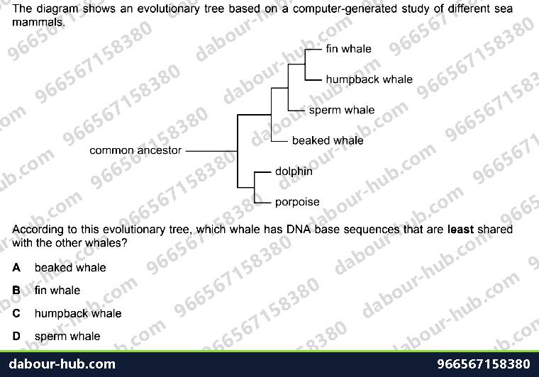 IGCSE Biology 1.3 Dna in Classification - Question 2