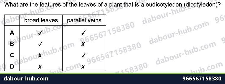 IGCSE Biology 1.4 Dicot and Monocot - Question 4