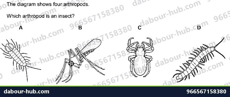 IGCSE Biology 1.5 Kingdoms - Question 1