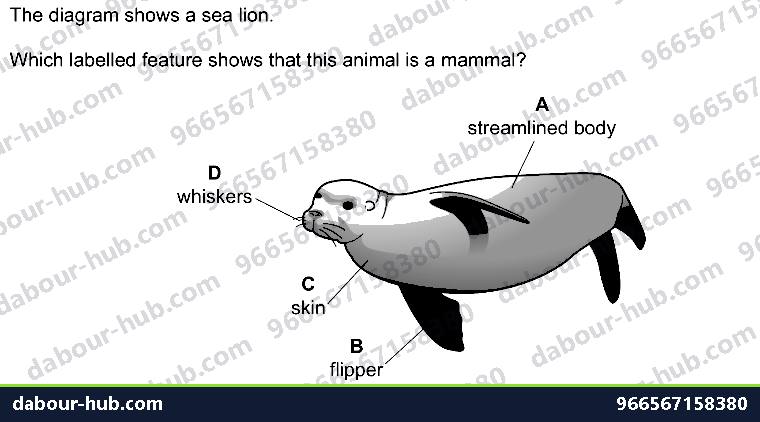 IGCSE Biology 1.5 Kingdoms - Question 14