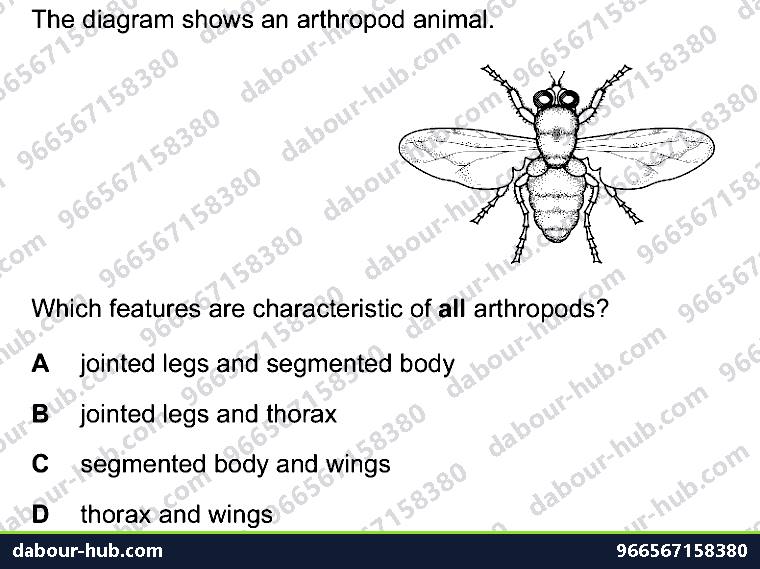 IGCSE Biology 1.5 Kingdoms - Question 2