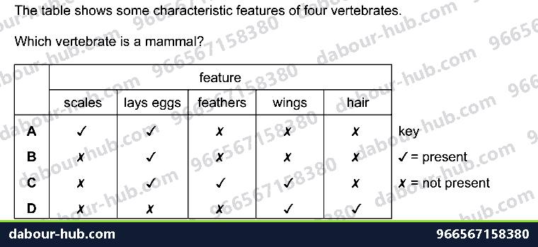 IGCSE Biology 1.5 Kingdoms - Question 3