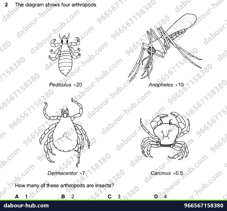 IGCSE Biology 1.5 Kingdoms - Question 4