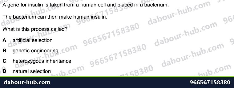 IGCSE Biology 21.1 Genetic modification - Question 1