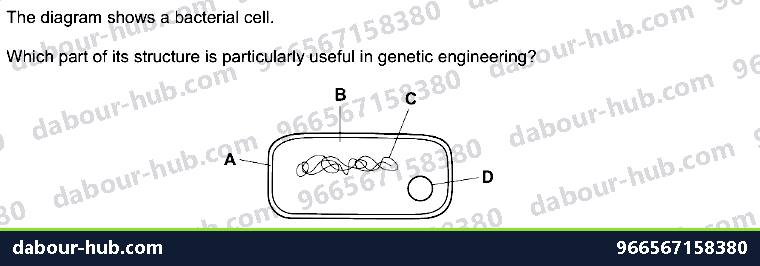 IGCSE Biology 21.1 Genetic modification - Question 14