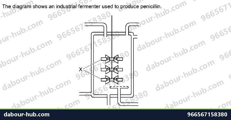 IGCSE Biology 21.2 Biotechnology - Question 10