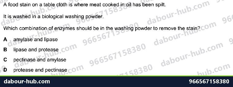 IGCSE Biology 21.2 Biotechnology - Question 3