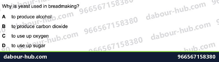 IGCSE Biology 21.2 Biotechnology - Question 5