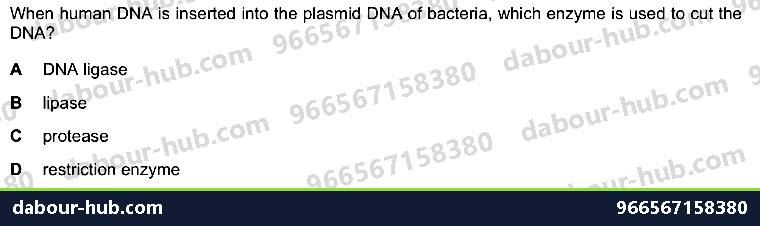 IGCSE Biology 21.3 Genetic modification II - Question 2
