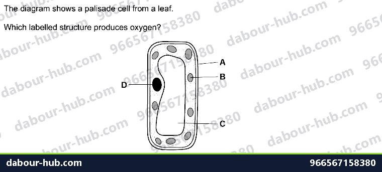 IGCSE Biology 2.1 Animal and Plant Cells - Question 1