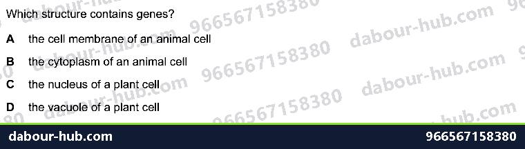 IGCSE Biology 2.1 Animal and Plant Cells - Question 2