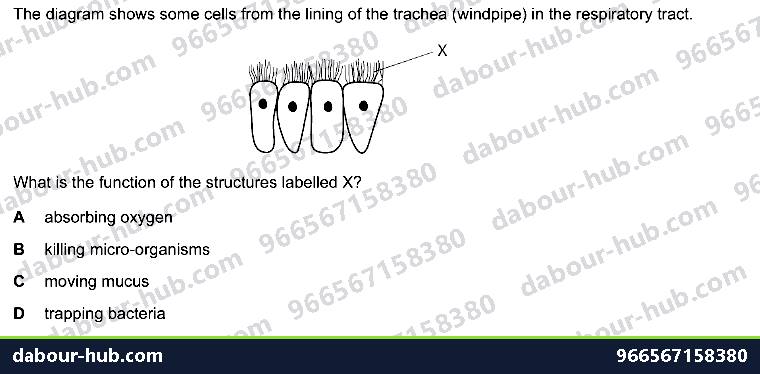 IGCSE Biology 2.2 Specialisation - Question 1