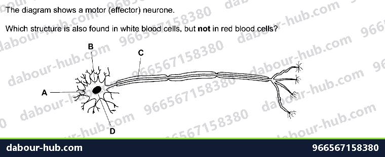 IGCSE Biology 2.2 Specialisation - Question 12