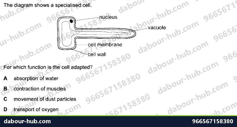 IGCSE Biology 2.2 Specialisation - Question 13