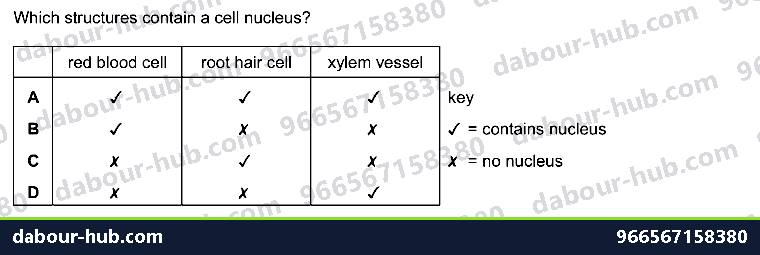 IGCSE Biology 2.2 Specialisation - Question 2
