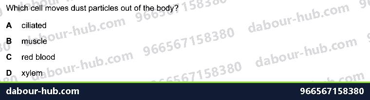 IGCSE Biology 2.2 Specialisation - Question 3