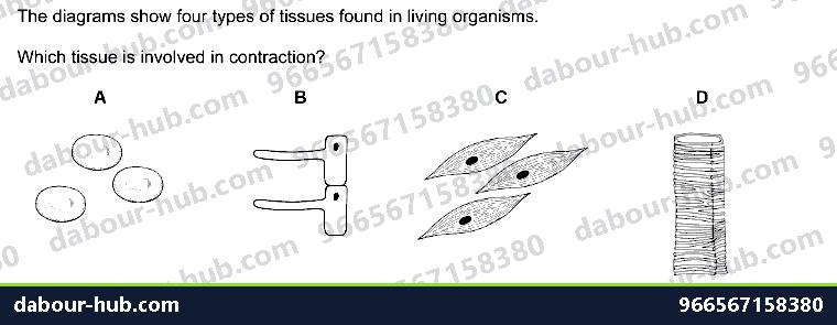 IGCSE Biology 2.2 Specialisation - Question 4