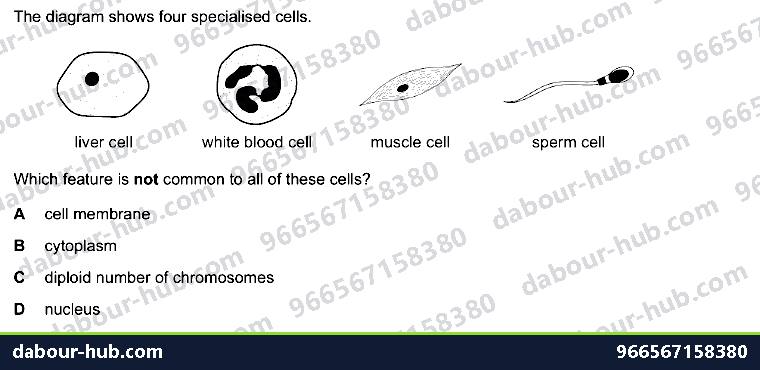 IGCSE Biology 2.2 Specialisation - Question 6