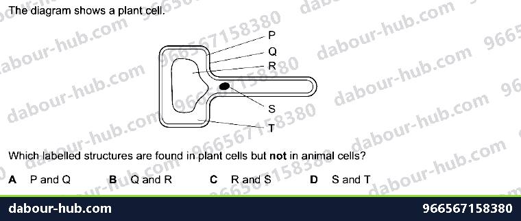 IGCSE Biology 2.2 Specialisation - Question 7