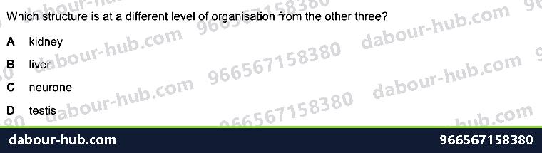 IGCSE Biology 2.3 Level of Organisation - Question 1