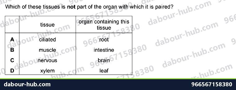 IGCSE Biology 2.3 Level of Organisation - Question 10