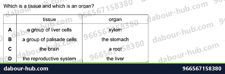 IGCSE Biology 2.3 Level of Organisation - Question 11