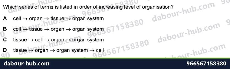 IGCSE Biology 2.3 Level of Organisation - Question 12