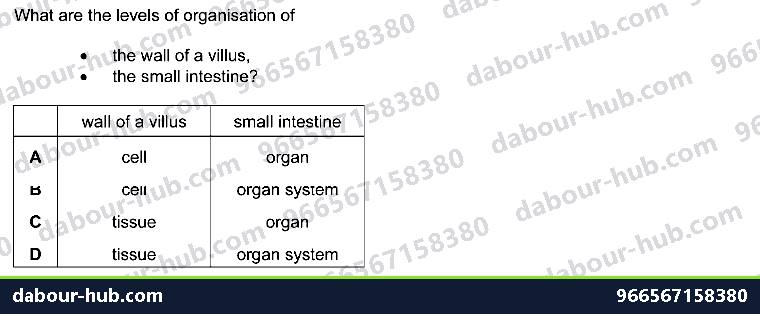 IGCSE Biology 2.3 Level of Organisation - Question 5