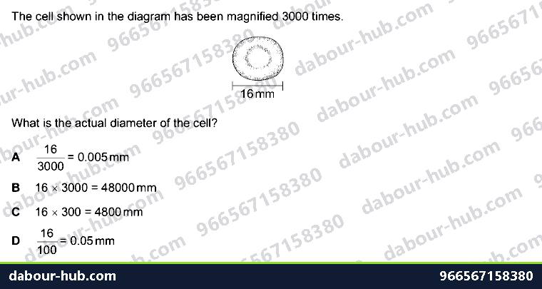 IGCSE Biology 2.4 Magnification - Question 1
