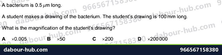 IGCSE Biology 2.4 Magnification - Question 16