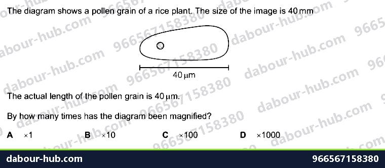 IGCSE Biology 2.4 Magnification - Question 9