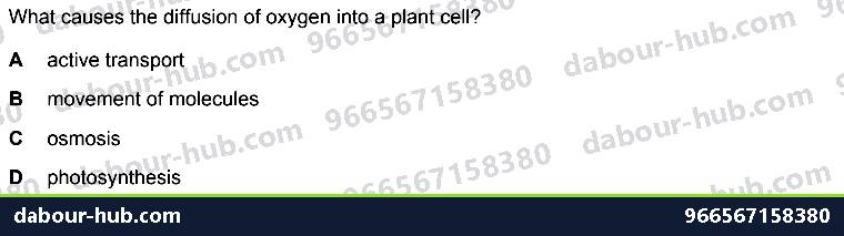 IGCSE Biology 3.1 Diffusion - Question 1