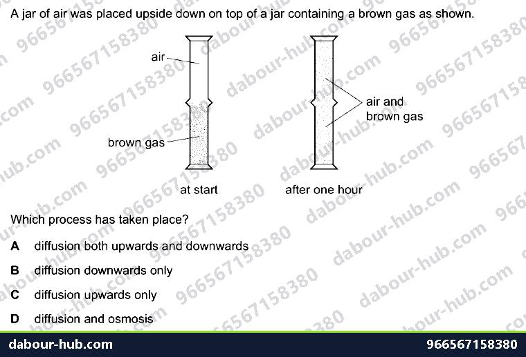 IGCSE Biology 3.1 Diffusion - Question 11