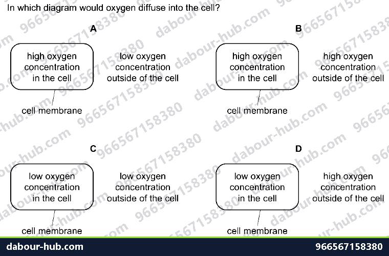 IGCSE Biology 3.1 Diffusion - Question 15