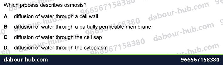 IGCSE Biology 3.2 Osmosis - Question 13