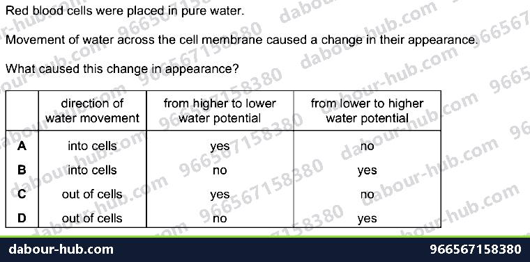 IGCSE Biology 3.2 Osmosis - Question 14