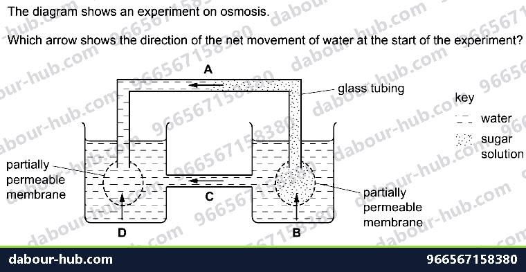 IGCSE Biology 3.2 Osmosis - Question 2