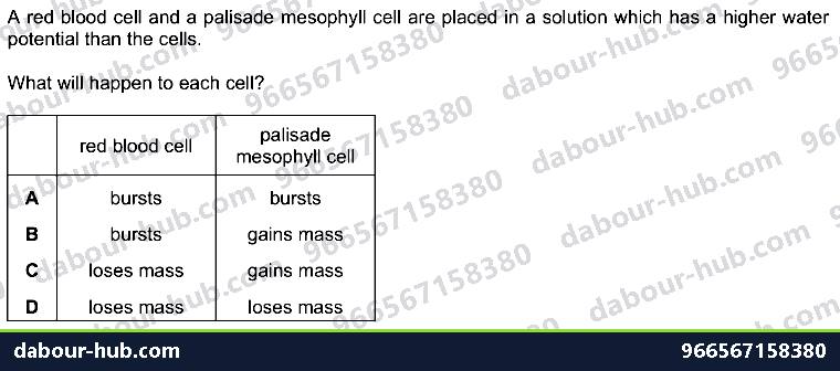 IGCSE Biology 3.2 Osmosis - Question 7