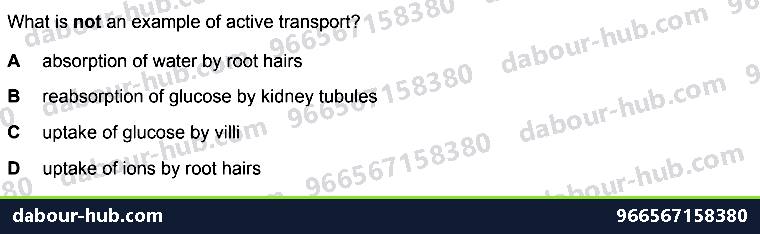 IGCSE Biology 3.3 Active Transport - Question 1