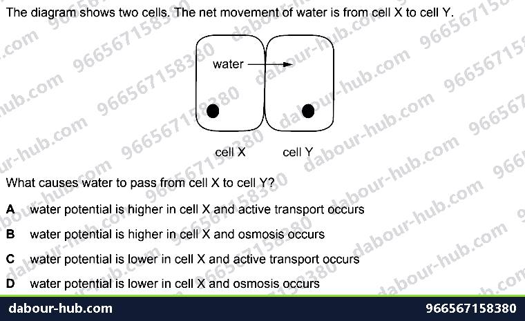 IGCSE Biology 3.3 Active Transport - Question 3